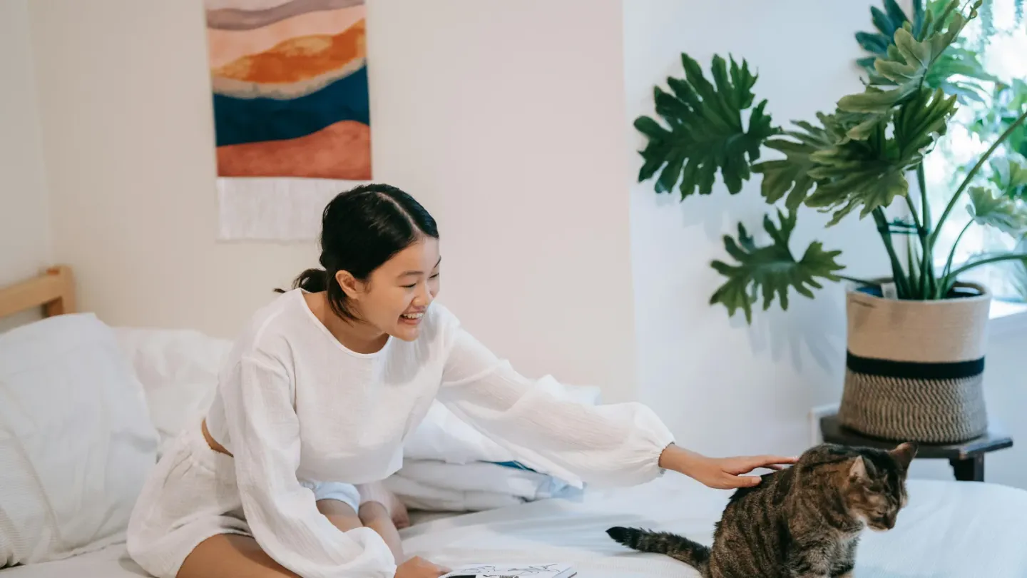 猫との暮らしにあってよかった、手放せないグッズ4つを紹介します
