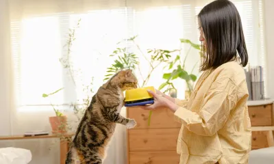愛猫のごはん選びで迷ったら。気になるキャットフード2つを比べてみました