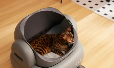 猫トイレの臭い対策グッズおすすめ5選