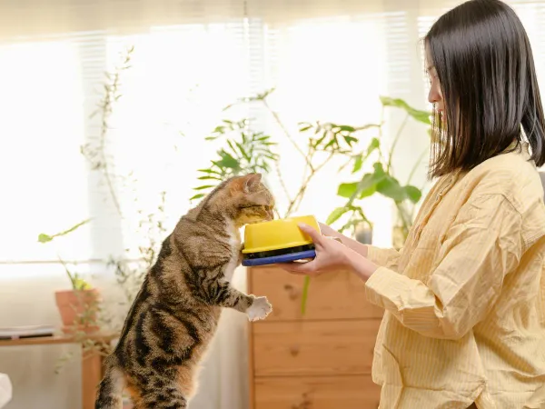 愛猫のごはん選びで迷ったら。気になるキャットフード2つを比べてみました