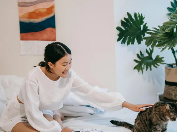 猫との暮らしにあってよかった、手放せないグッズ4つを紹介します